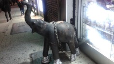 punctured1_pachyderm2